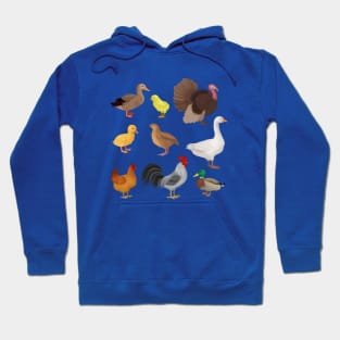 Poultry illustration Hoodie